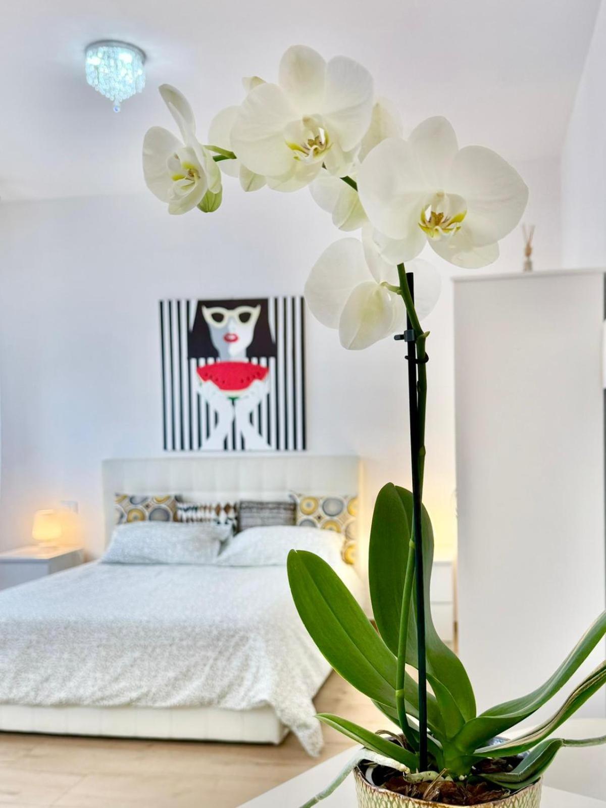 Travel Fiera Apartment Bologna Luaran gambar